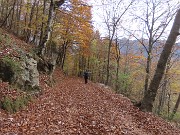 62 Breve tratto sulla strada agrosilvopastorale